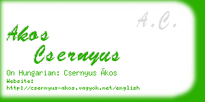 akos csernyus business card